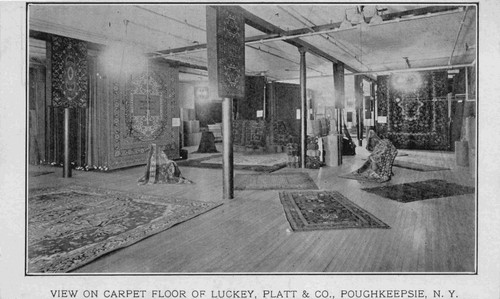 View the carpet floor of - of,